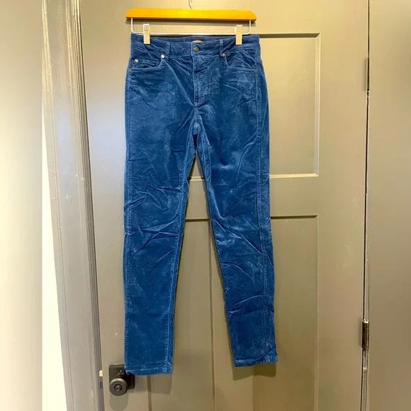 J. McLaughlin blue velvet Watson suede skinny pants size 2 - Picture 2 of 6